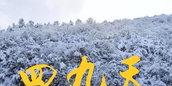 开云体育app-60年一遇！今天四九第一天，若今天天晴，2026年春节要出新高度