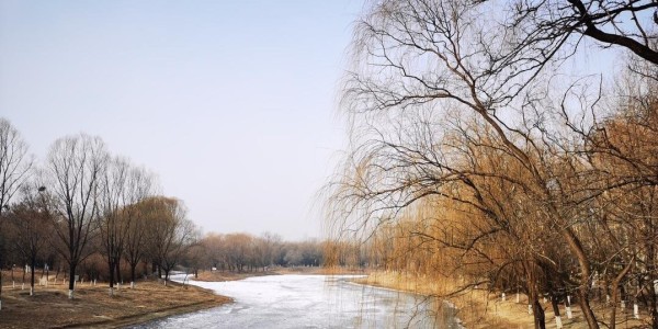 开云体育app-60年一遇！今天四九第一天，若今天天晴，2026年春节要出新高度