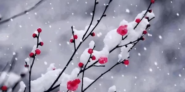 开云体育app-60年一遇！今天四九第一天，若今天天晴，2026年春节要出新高度